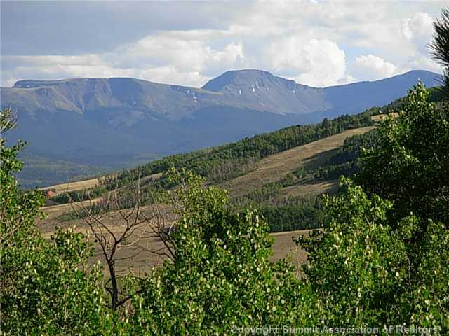 1376 Sheep Ridge Road Fairplay, CO 80440 - Photo 12 of 12
