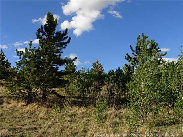 1376 Sheep Ridge Road Fairplay, CO 80440 - Photo 3 of 12