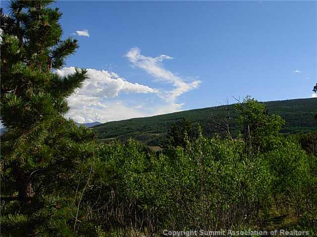 1376 Sheep Ridge Road Fairplay, CO 80440 - Photo 5 of 12