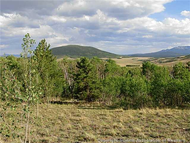 1376 Sheep Ridge Road Fairplay, CO 80440 - Photo 6 of 12
