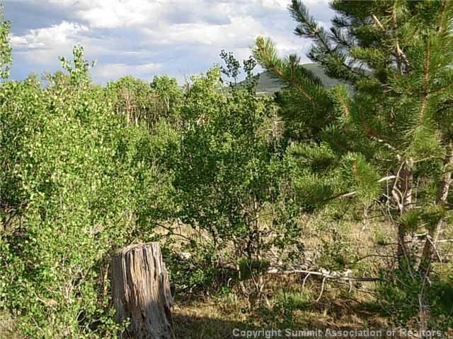 1376 Sheep Ridge Road Fairplay, CO 80440 - Photo 7 of 12