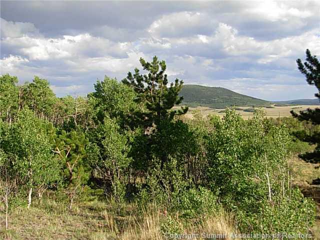 1376 Sheep Ridge Road Fairplay, CO 80440 - Photo 8 of 12