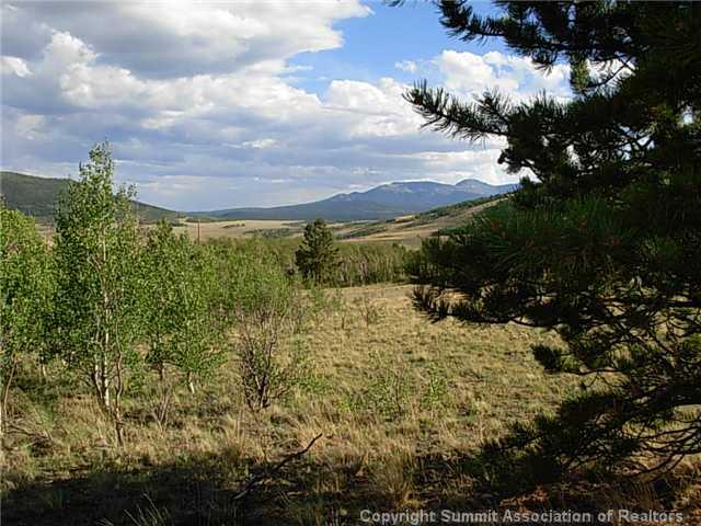 1376 Sheep Ridge Road Fairplay, CO 80440 - Photo 9 of 12