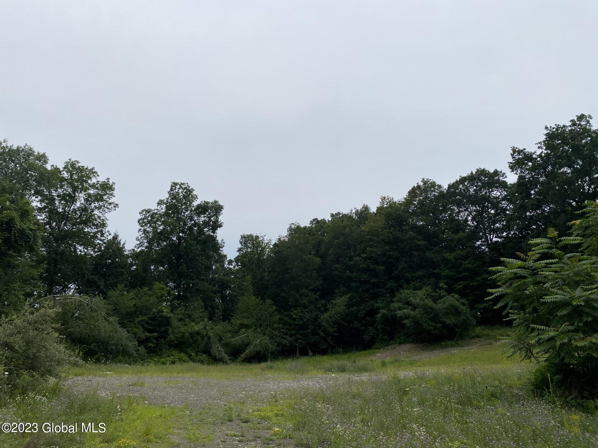 48 Spring Landing Boulevard Brunswick, NY 12198 - Photo 4 of 10 spring 13