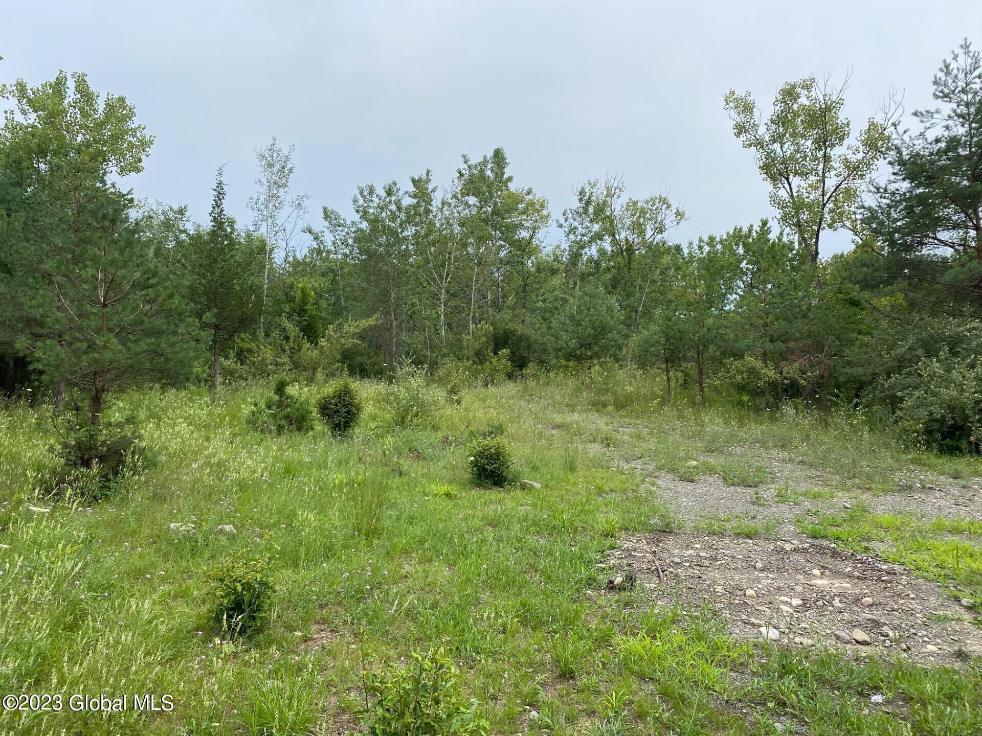 48 Spring Landing Boulevard Brunswick, NY 12198 - Photo 5 of 10 spring 8