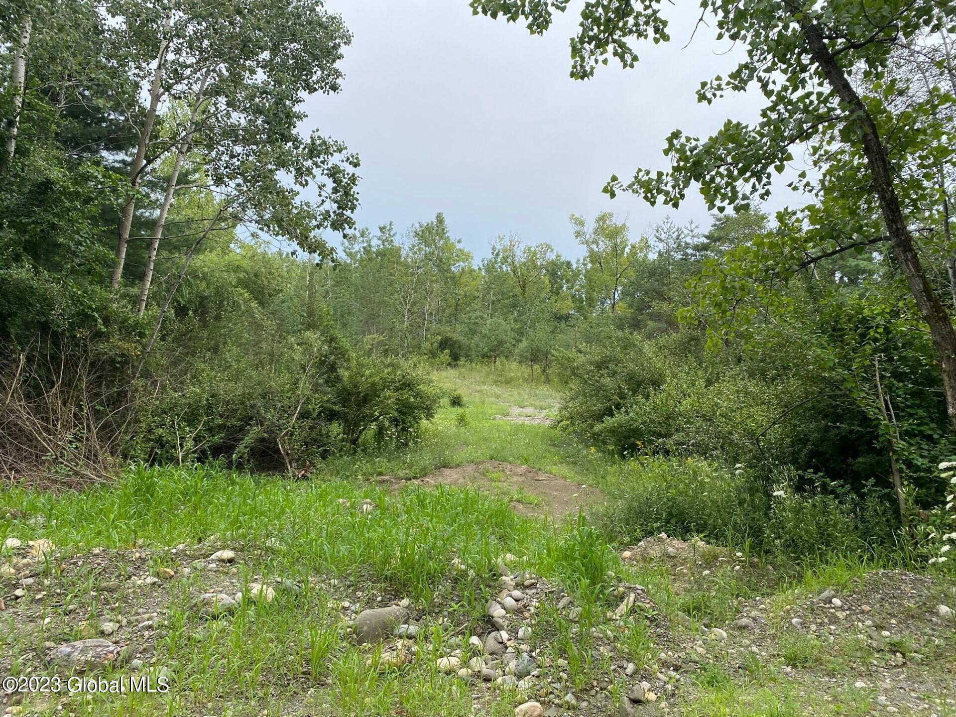 48 Spring Landing Boulevard Brunswick, NY 12198 - Photo 10 of 10 spring 10