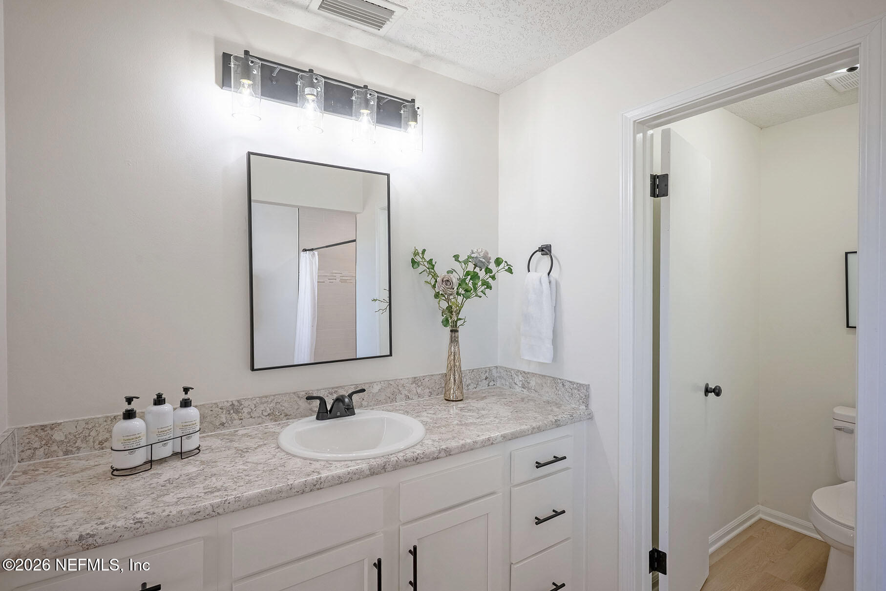 2451 Ridgecrest Avenue Orange Park, FL 32065 - Photo 33 of 57 a bathroom with sink and mirror