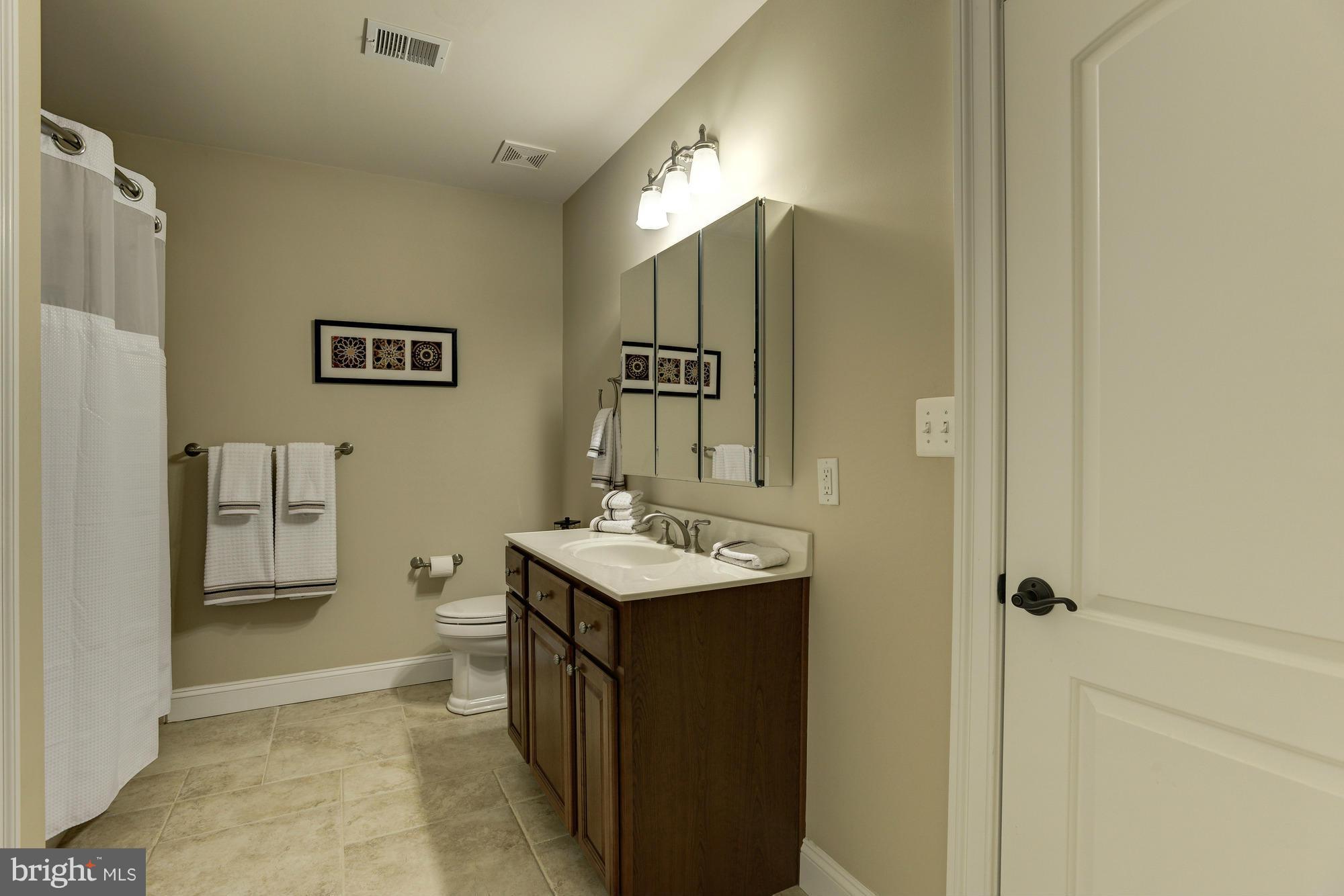 3627 Folly Quarter Road Ellicott City, MD 21042 - Photo 27 of 30 Dual Entry Full Bathroom - Lower Level