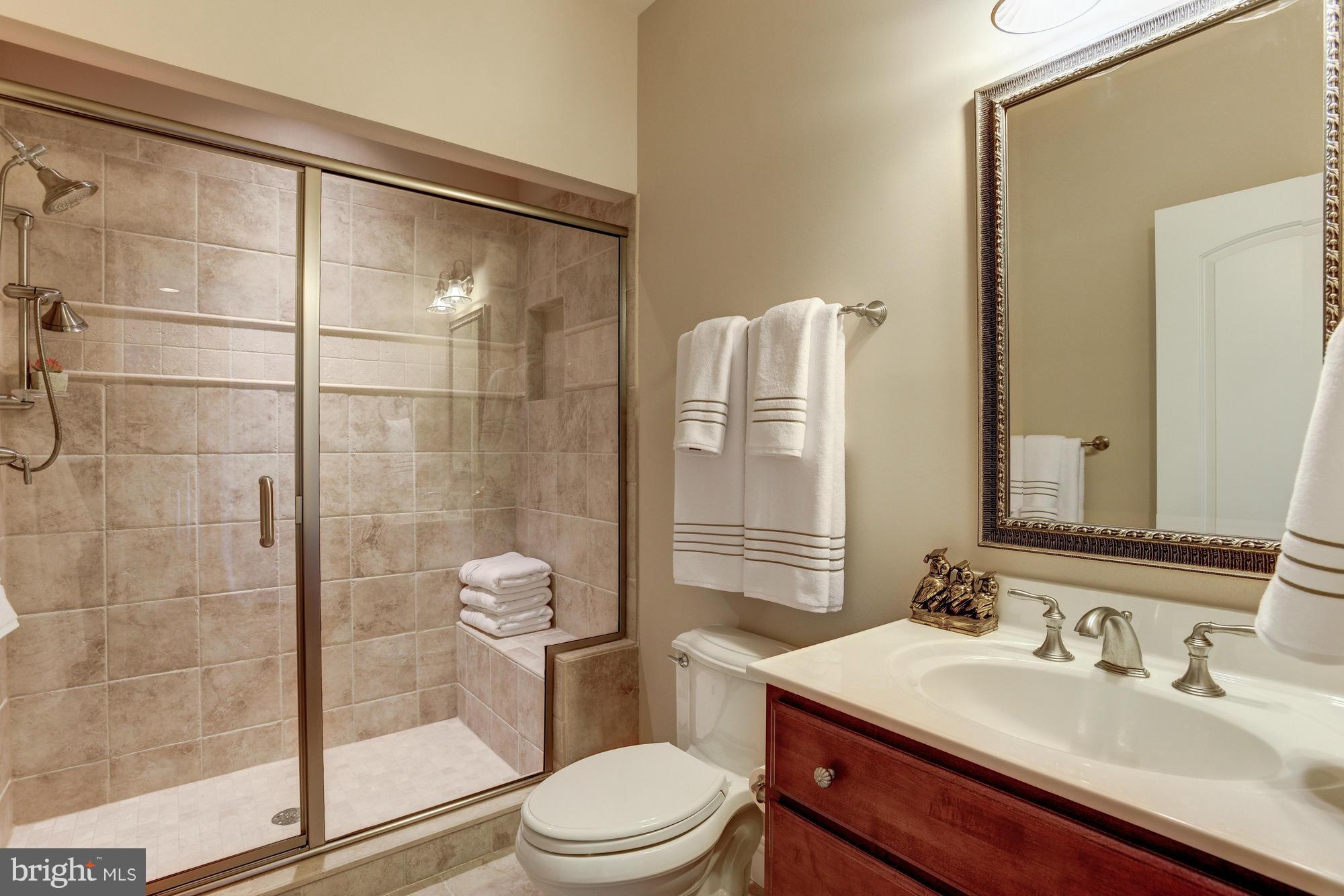 3627 Folly Quarter Road Ellicott City, MD 21042 - Photo 10 of 30 Bathroom
