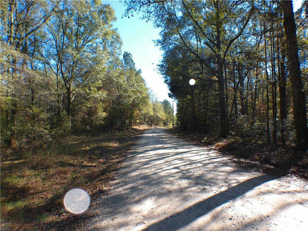 0 Dusty Road Bowman, GA 30624 - Photo 2 of 8 a view of a street with trees and a sign