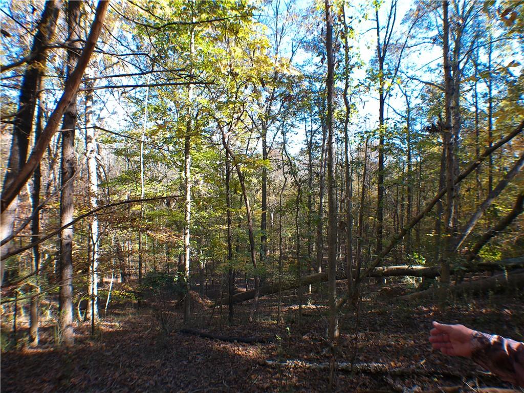 0 Dusty Road Bowman, GA 30624 - Photo 3 of 8 a backyard of a house with lots of green space