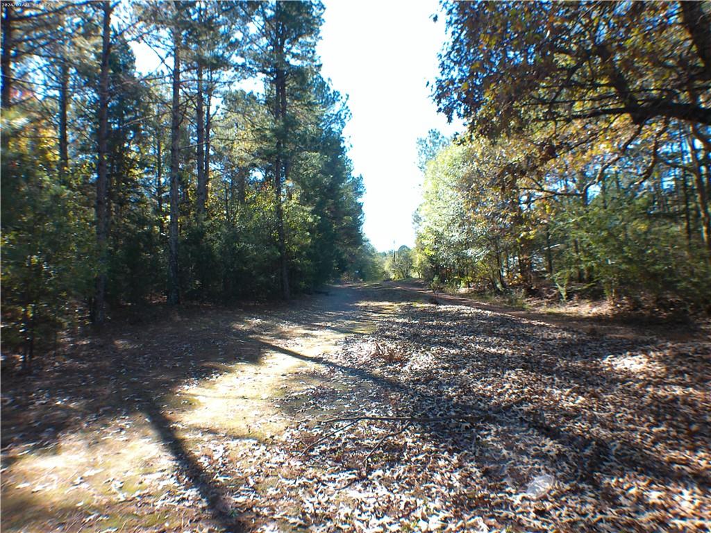 0 Dusty Road Bowman, GA 30624 - Photo 6 of 8 a view of a yard with plants and trees