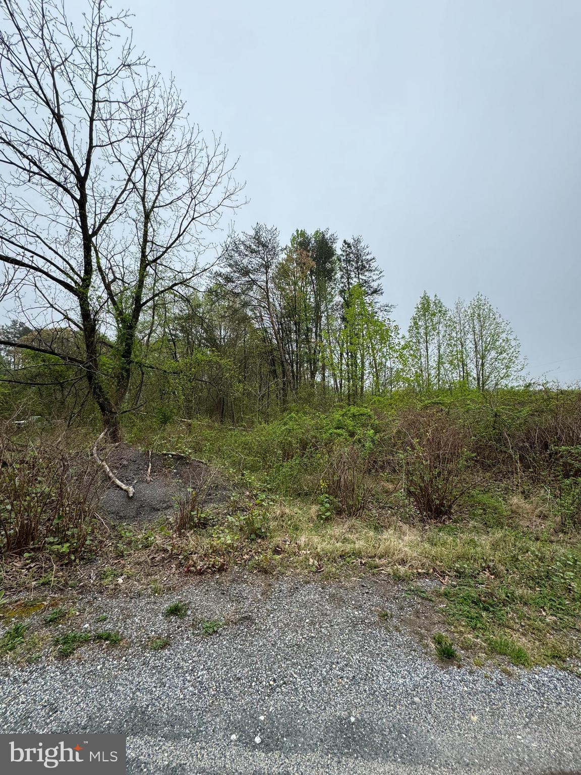 529 Queenstown Road Severn, MD 21144 - Photo 4 of 6