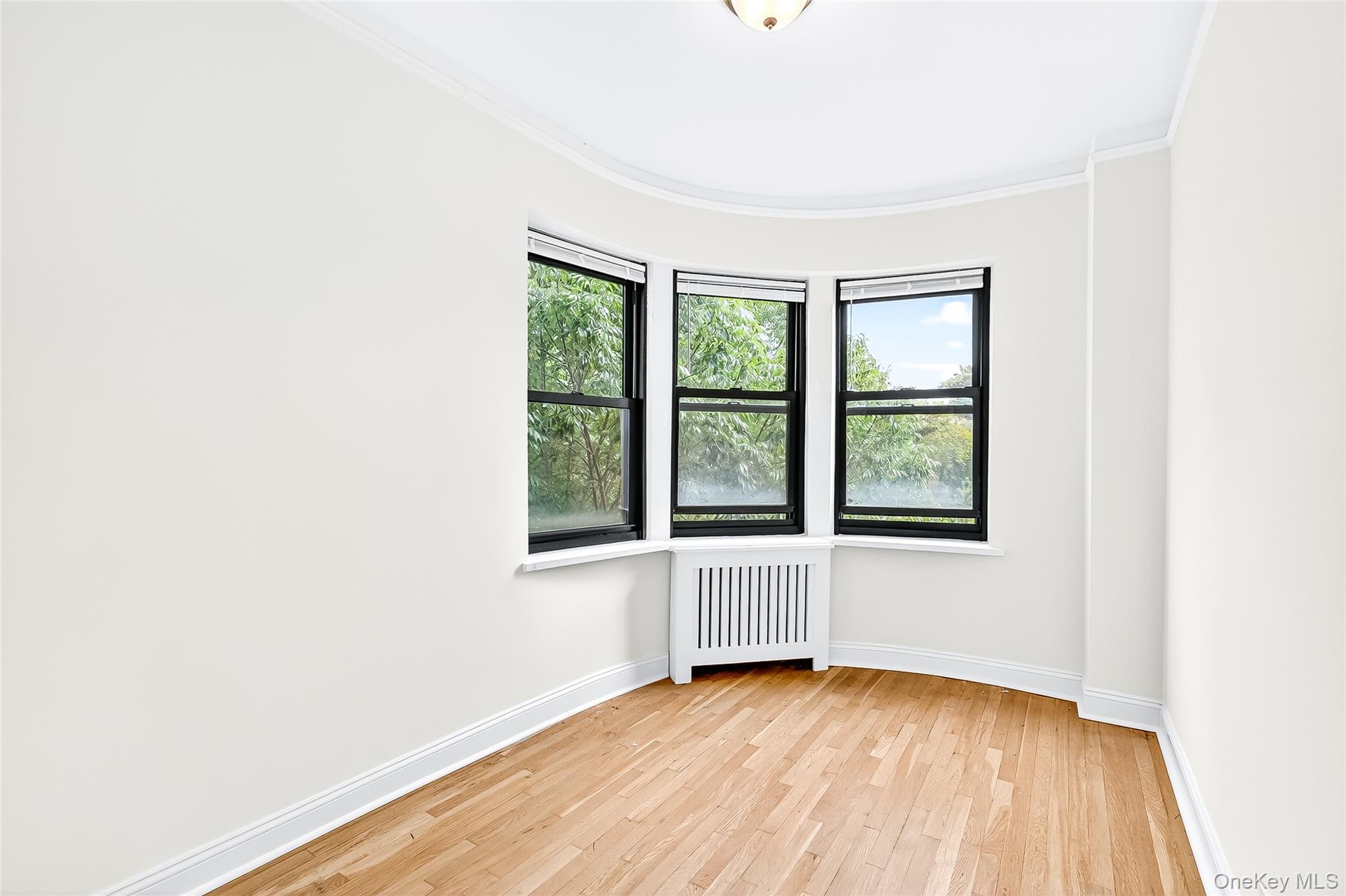 190 East Mosholu Parkway South, Unit 3C Bronx, NY 10458 - Photo 29 of 50 Unfurnished room featuring radiator heating unit, light wood finished floors, and crown molding