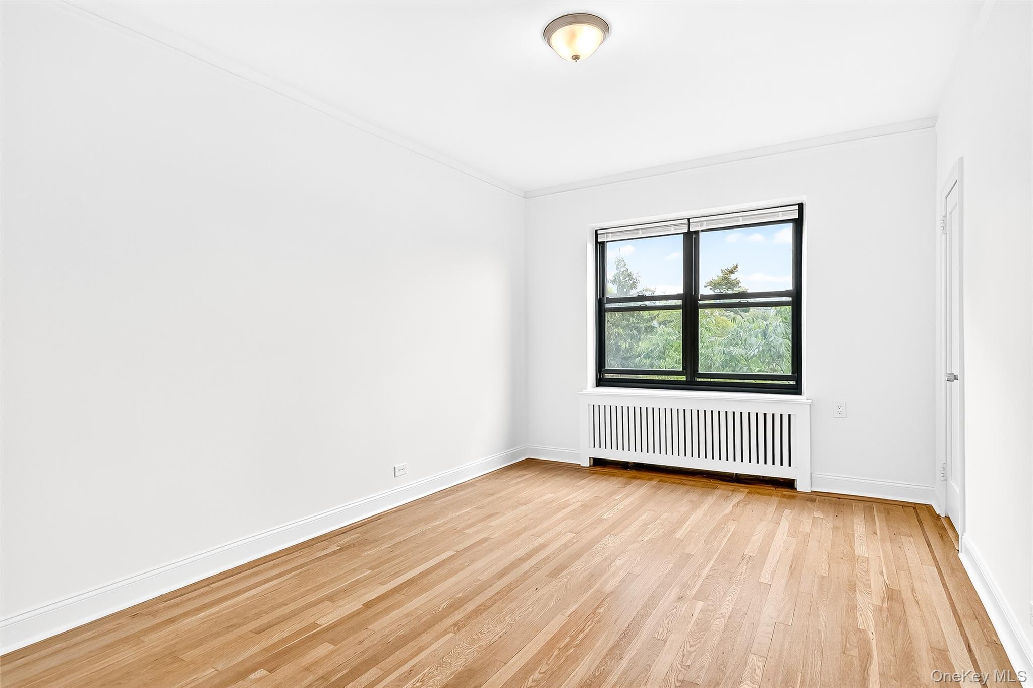 190 East Mosholu Parkway South, Unit 3C Bronx, NY 10458 - Photo 41 of 50 Unfurnished room with radiator, light wood finished floors, and crown molding