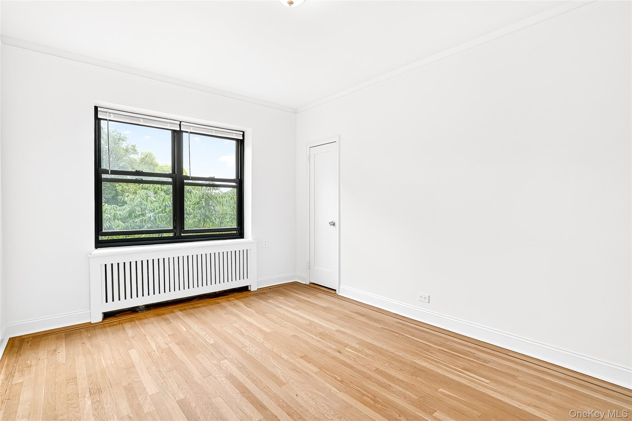 190 East Mosholu Parkway South, Unit 3C Bronx, NY 10458 - Photo 42 of 50 Empty room featuring radiator heating unit, light wood finished floors, and ornamental molding