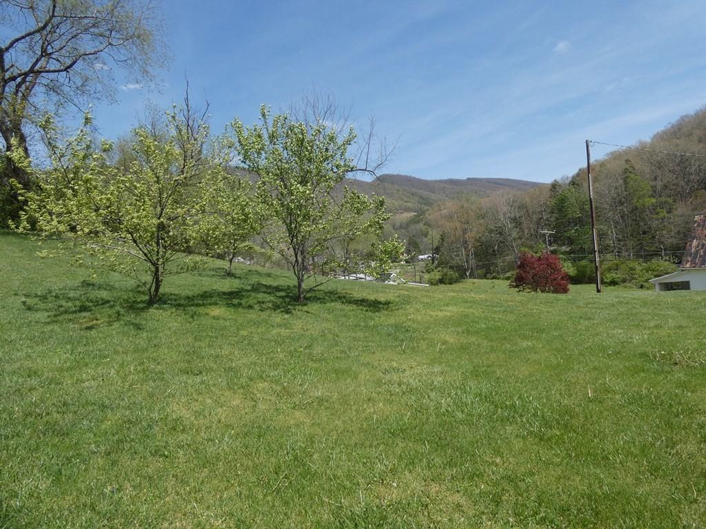 790 Allison Gap Road Saltville, VA 24370 - Photo 8 of 27 73943_8