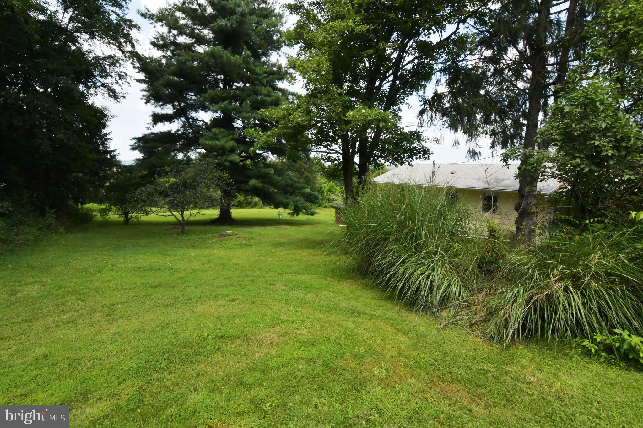 500 Dunmore Ridge Road Augusta, WV 26704 - Photo 39 of 43 Lawn