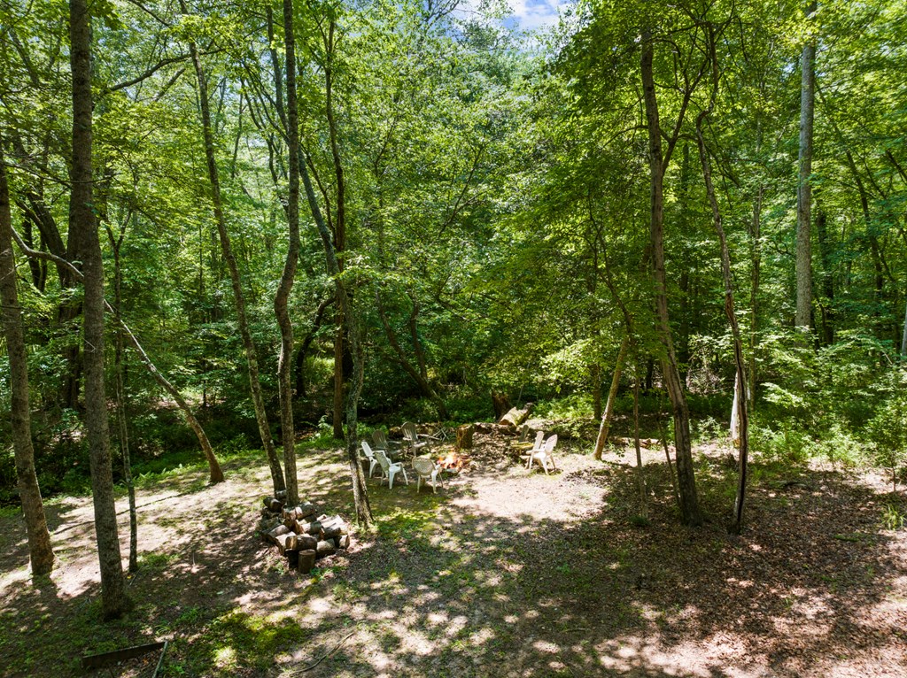 135 The Builder's Hill Morganton, GA 30560 - Photo 11 of 31
