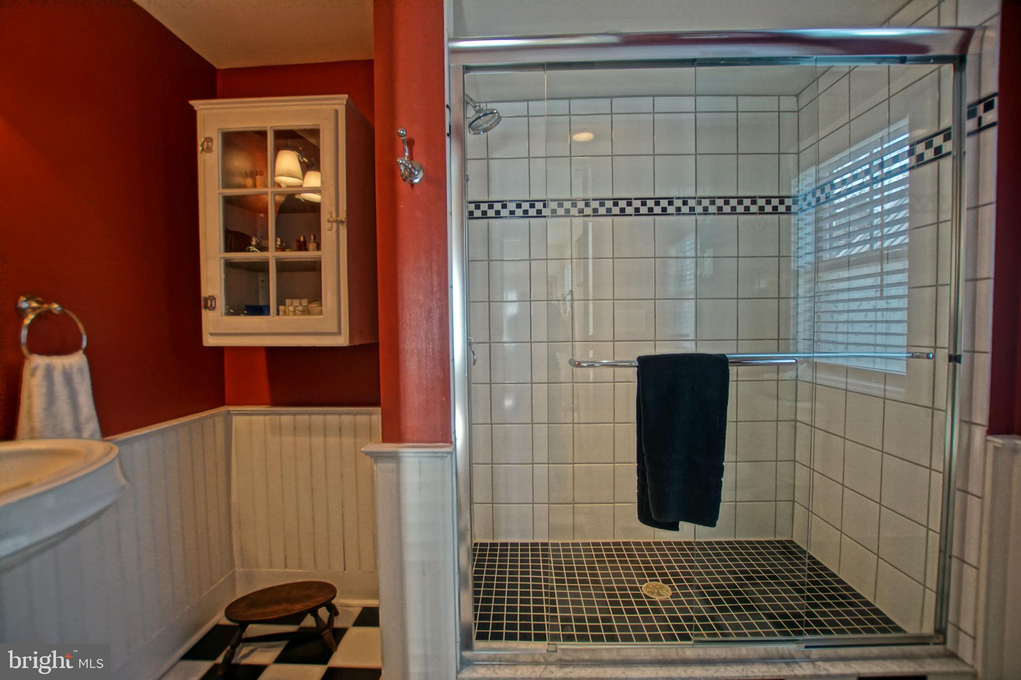 119 Dewey Avenue Lewes, DE 19958 - Photo 29 of 54 Chic bathroom with modern shower design.