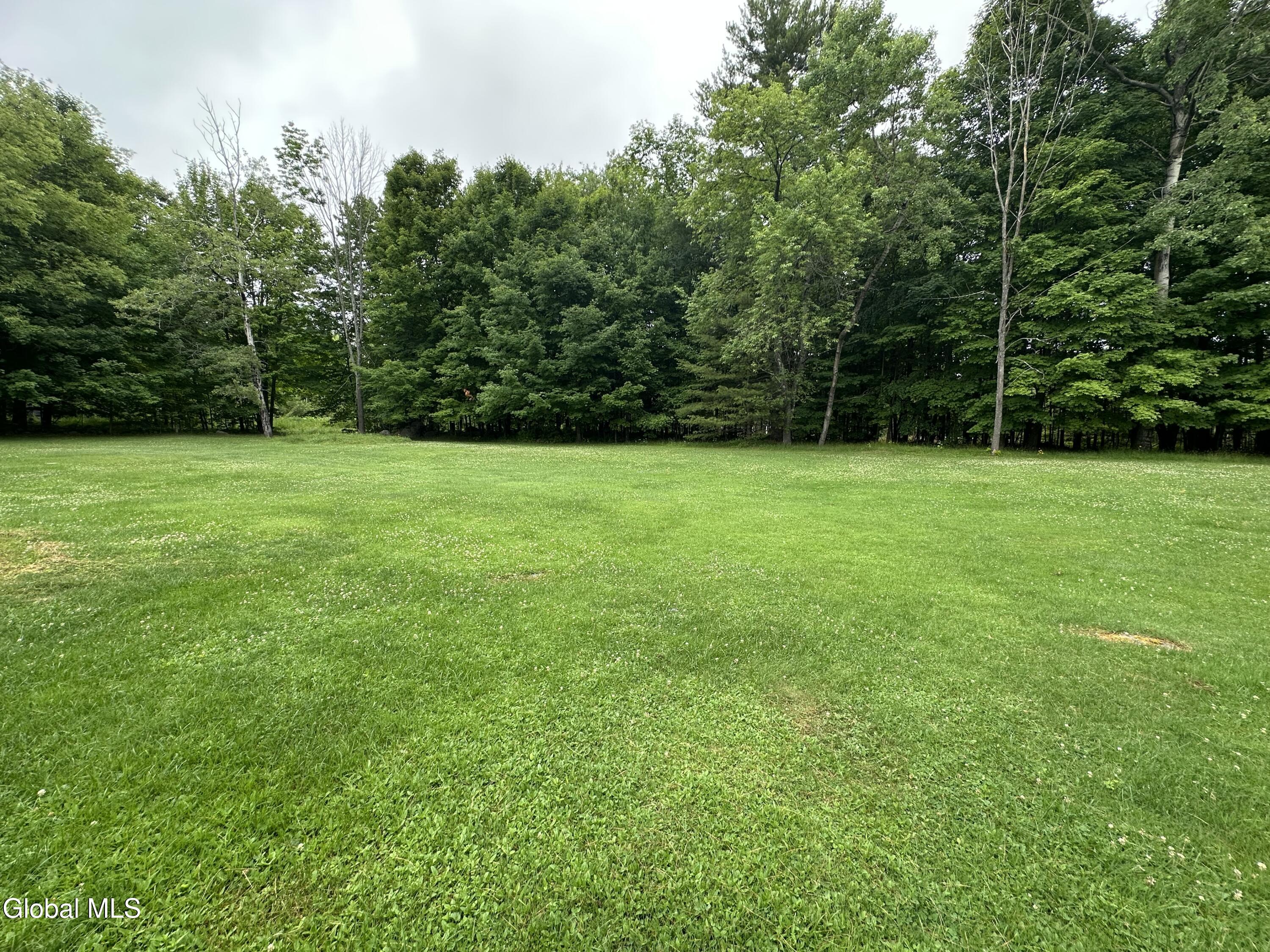 3160 Plank Road Moriah, NY 12956 - Photo 17 of 17 IMG_3337