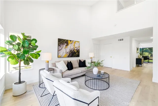 a living room with furniture potted plant and a potted plant