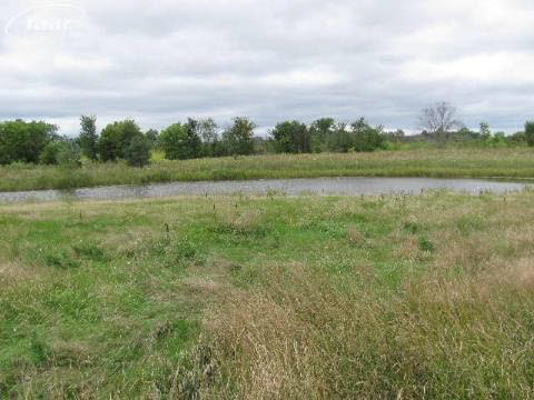1248 South Morrish Road Flint, MI 48532 - Photo 24 of 24 20284388-23.JPG
