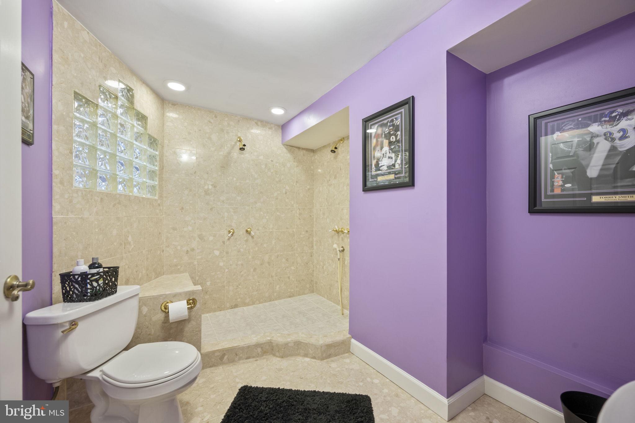 4310 Necker Avenue Nottingham, MD 21236 - Photo 46 of 56 a bathroom with a toilet a sink and shower