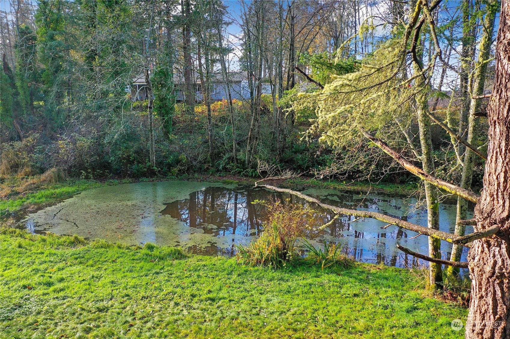 980 Rowe Road Camano Island, WA 98282 - Photo 31 of 37 Gallery Image 31