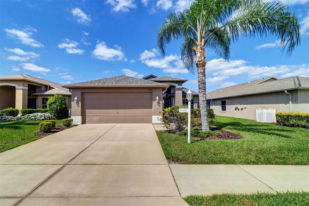 1719 Arbor Knoll Loop Trinity, FL 34655 - Photo 1 of 1 Gallery Image 1