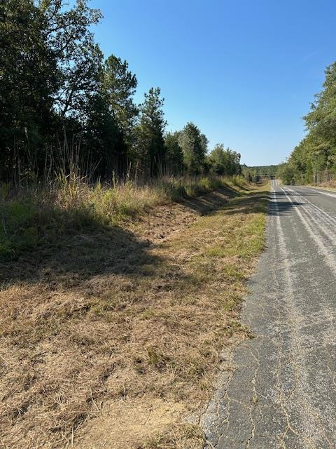 0 Lot 7 Catfish Cove Road Waterloo, SC 29384 - Photo 1 of 20 Gallery Image 1