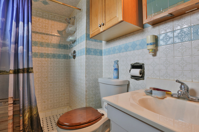 32005 South Klemme Road Beecher, IL 60401 - Photo 9 of 17 a bathroom with a sink a toilet and shower