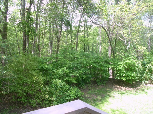 11 Foothill Road Framingham, MA 01702 - Photo 17 of 27 Gallery Image 17