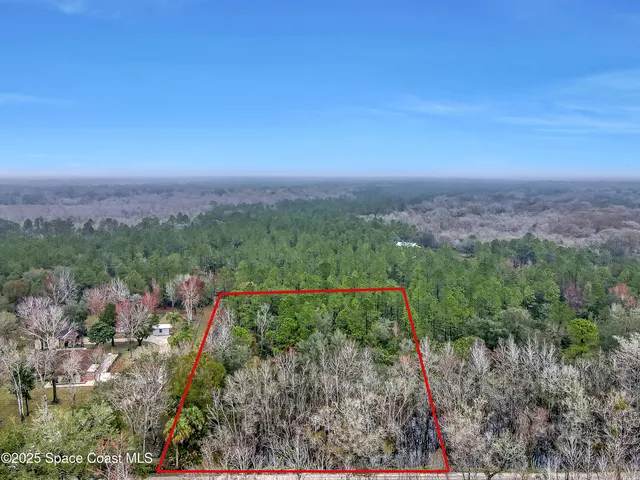 a view of a city with lush green forest