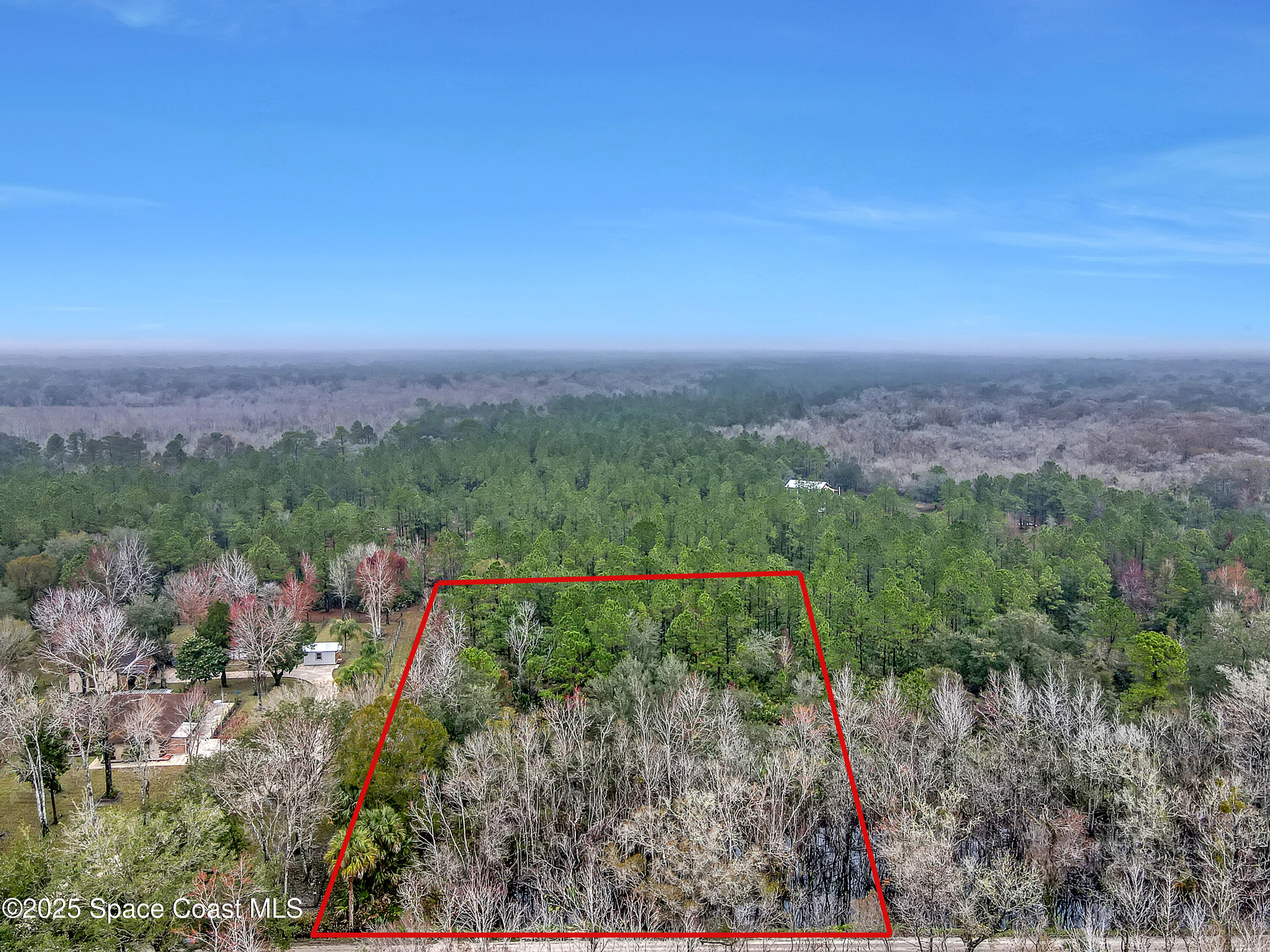 a view of a city with lush green forest