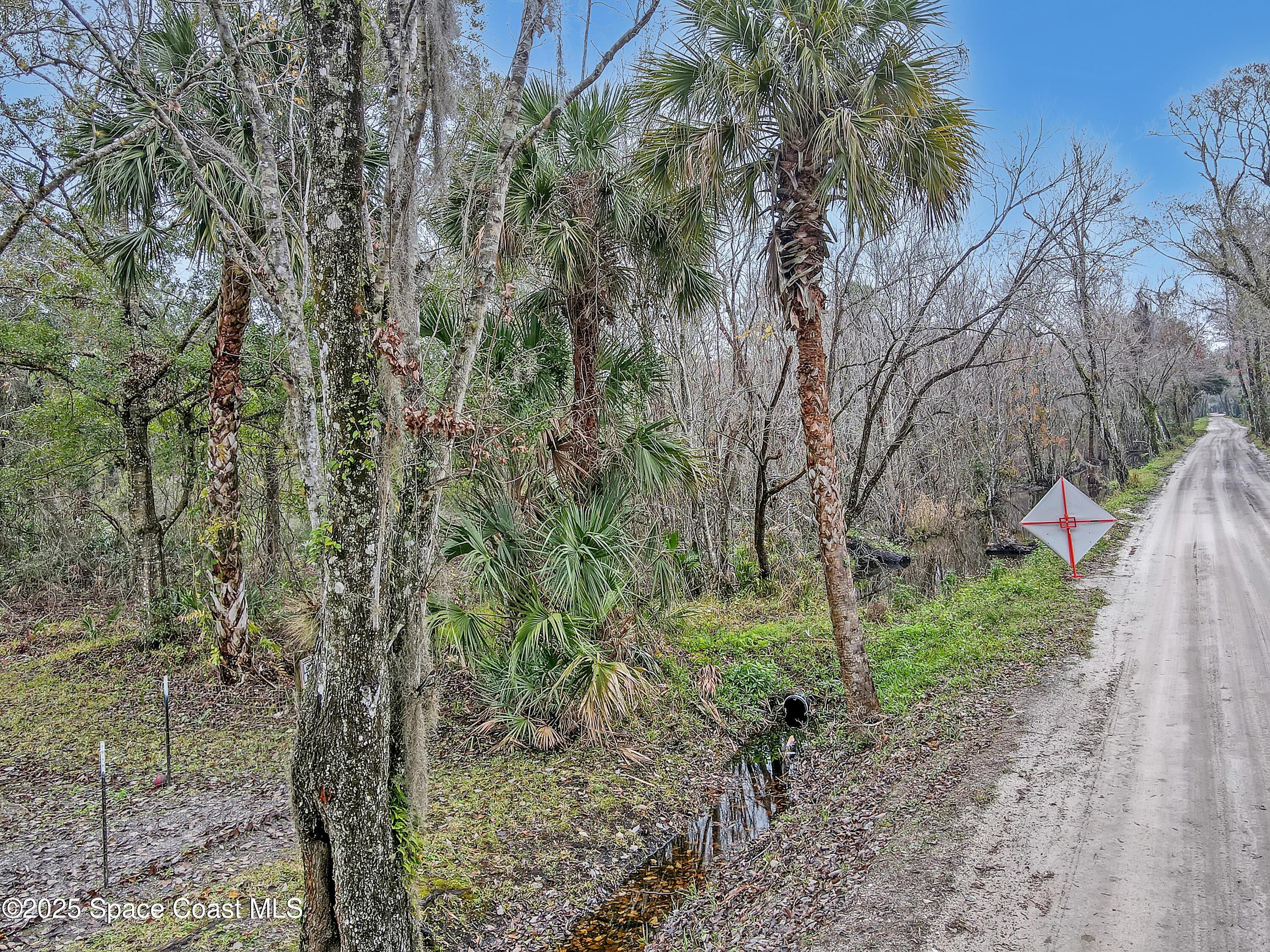 4740 Lloyd Street Mims, FL 32754 - Photo 2 of 6 a view of a forest filled with trees