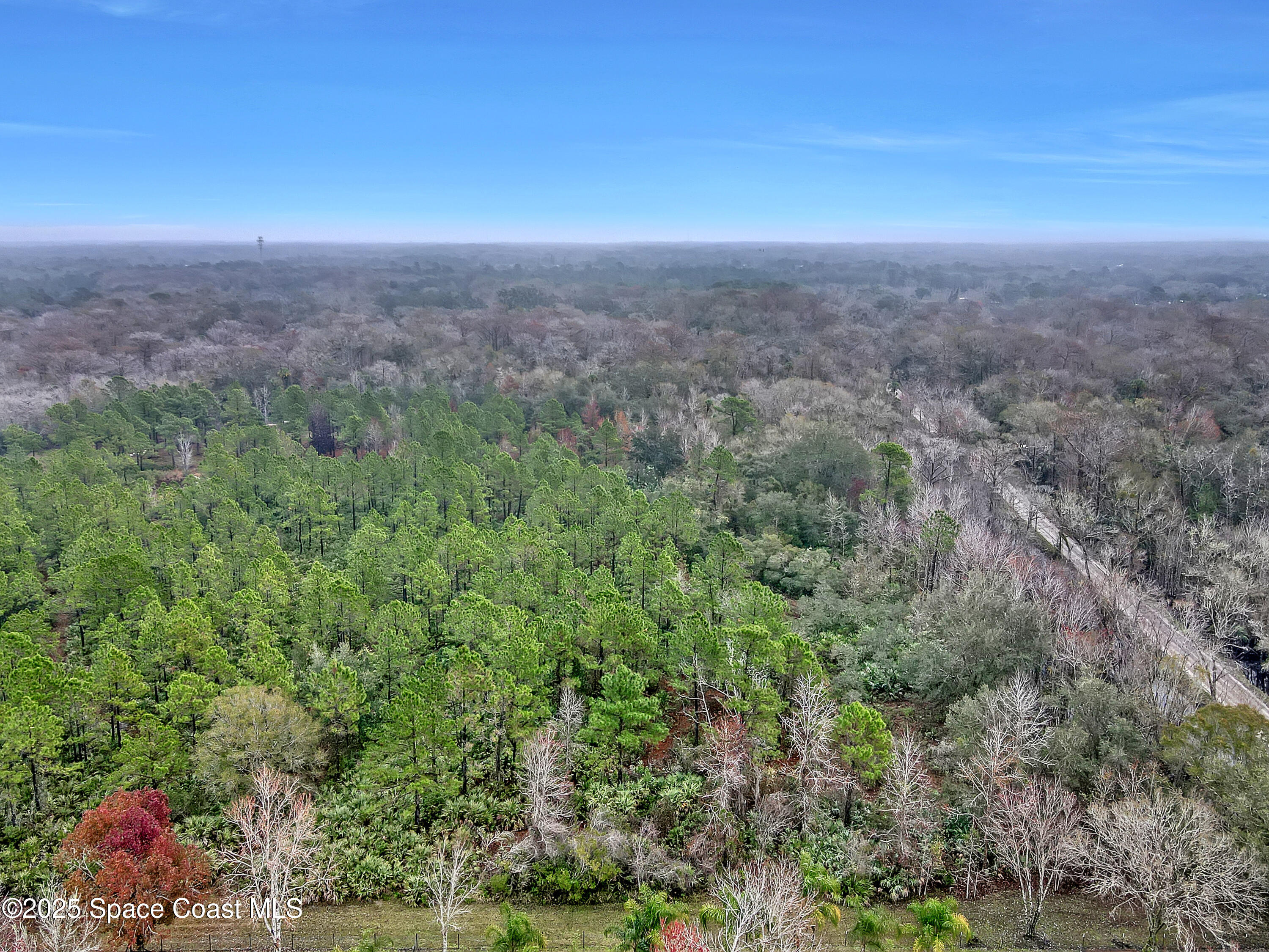 4740 Lloyd Street Mims, FL 32754 - Photo 5 of 6 a view of a city with lush green forest