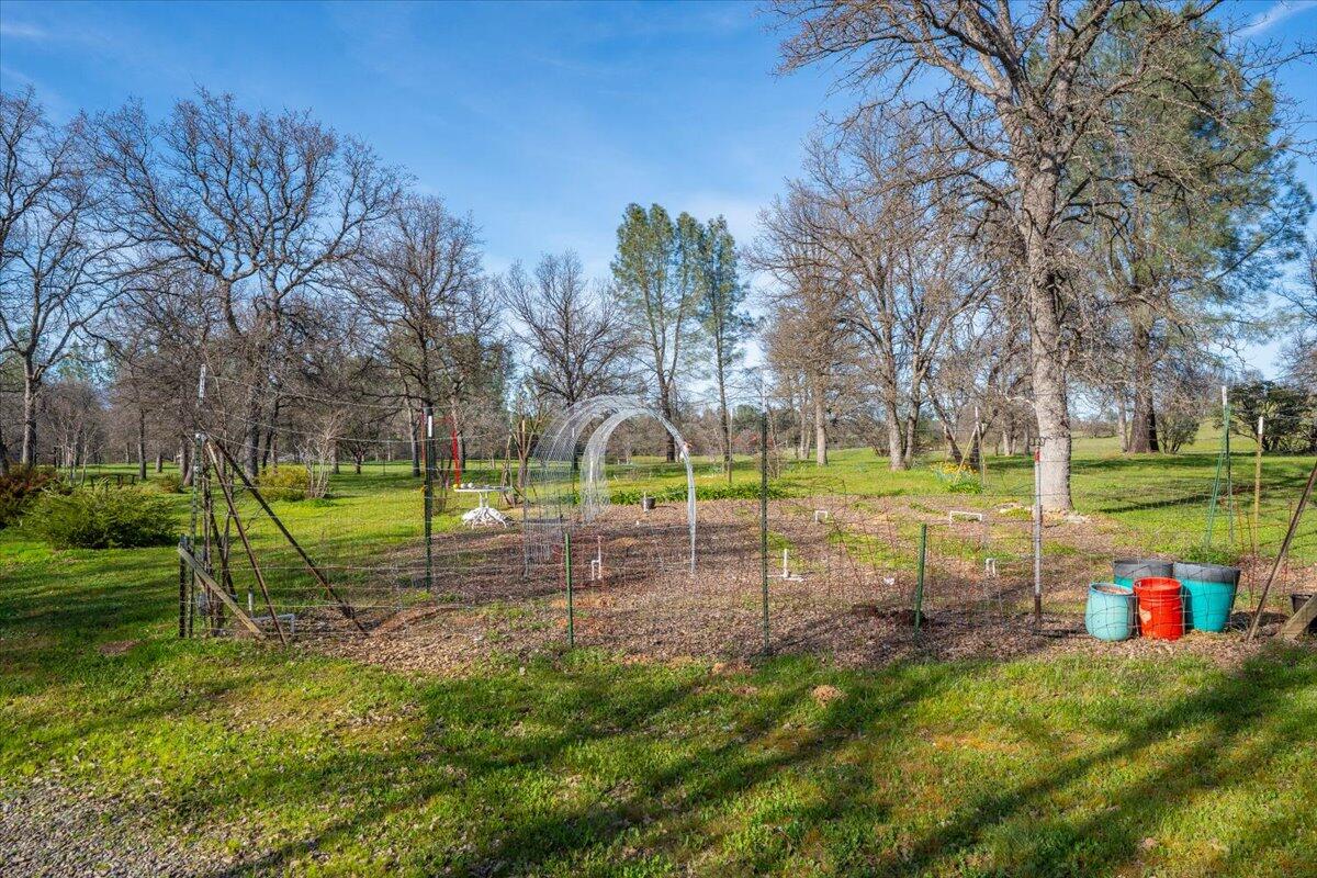 15525 Bowman Road Red Bluff, CA 96080 - Photo 146 of 148 Garden area