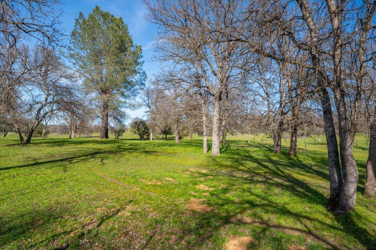 15525 Bowman Road Red Bluff, CA 96080 - Photo 147 of 148 147-15525 Bowman Rd - E-89