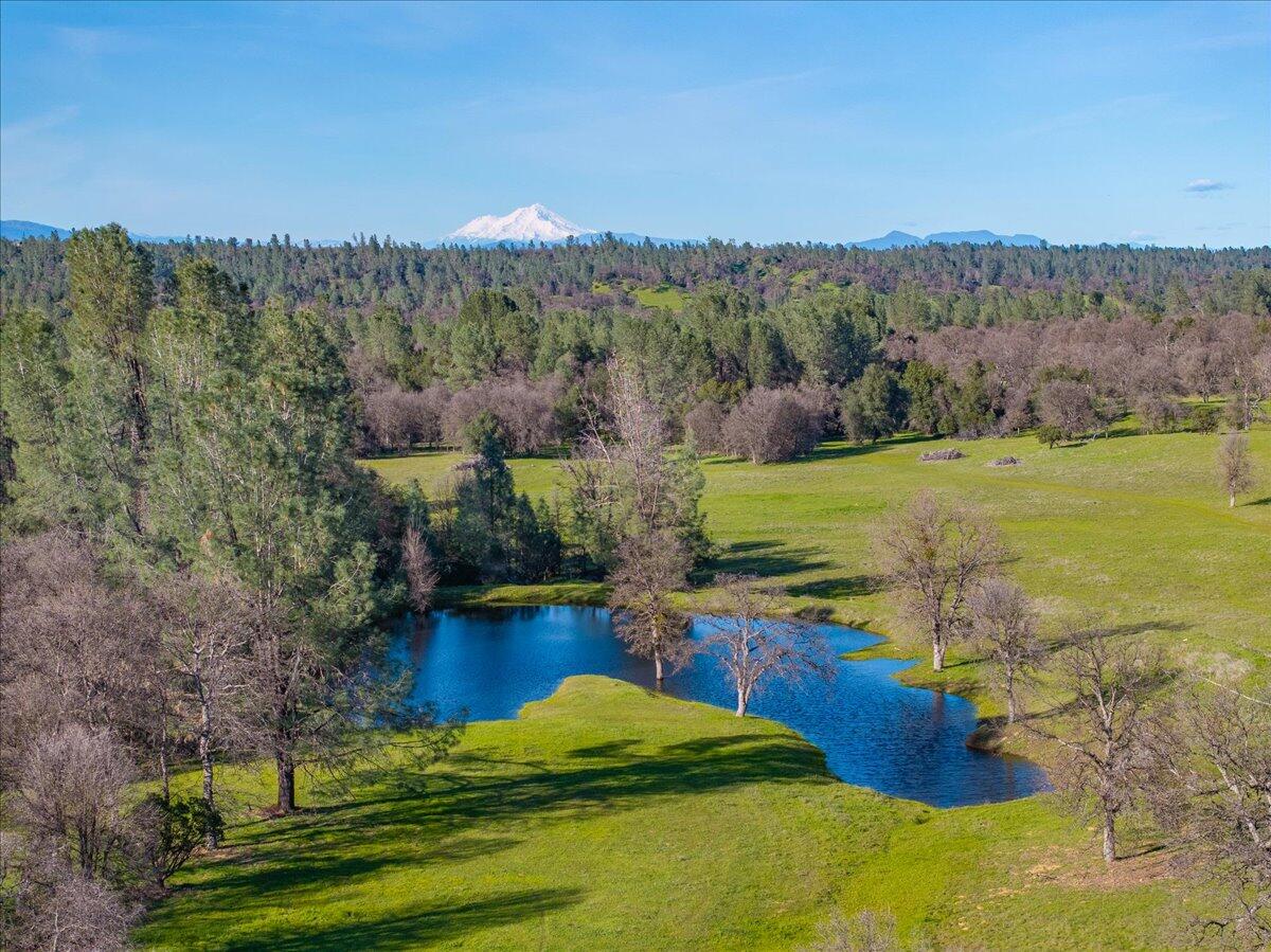 15525 Bowman Road Red Bluff, CA 96080 - Photo 5 of 148 Seasonal pond