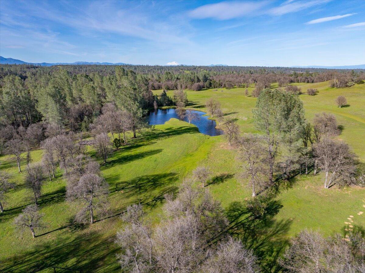 15525 Bowman Road Red Bluff, CA 96080 - Photo 79 of 148 055-15525 Bowman Rd - E-9