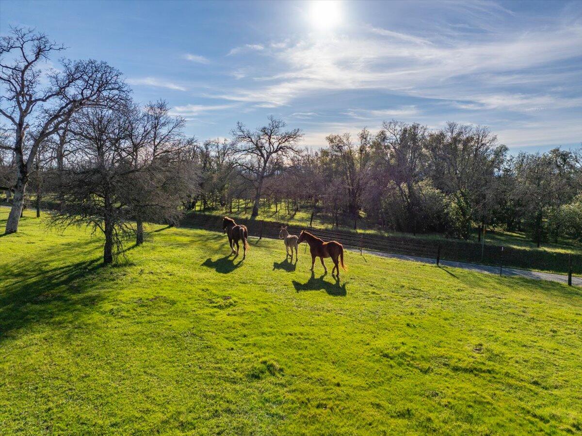 15525 Bowman Road Red Bluff, CA 96080 - Photo 97 of 148 075-15525 Bowman Rd - E-30