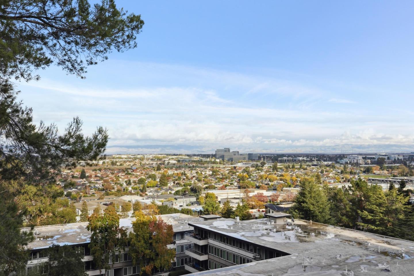 300 Davey Glen Road, Unit 3601 Belmont, CA 94002 - Photo 5 of 28