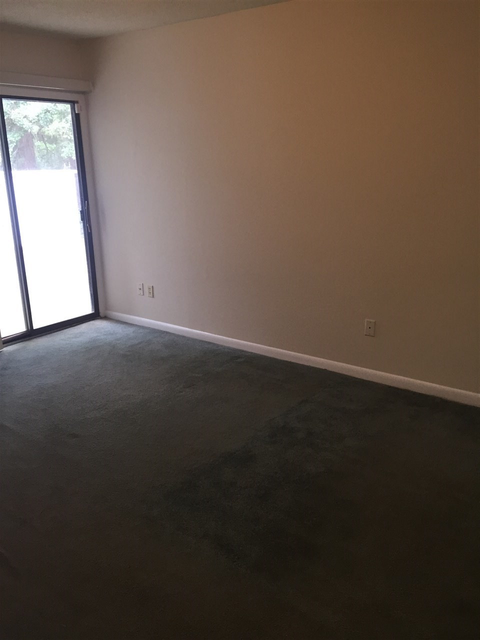 706 Godwin Court Raleigh, NC 27606 - Photo 10 of 19 Master Bedroom