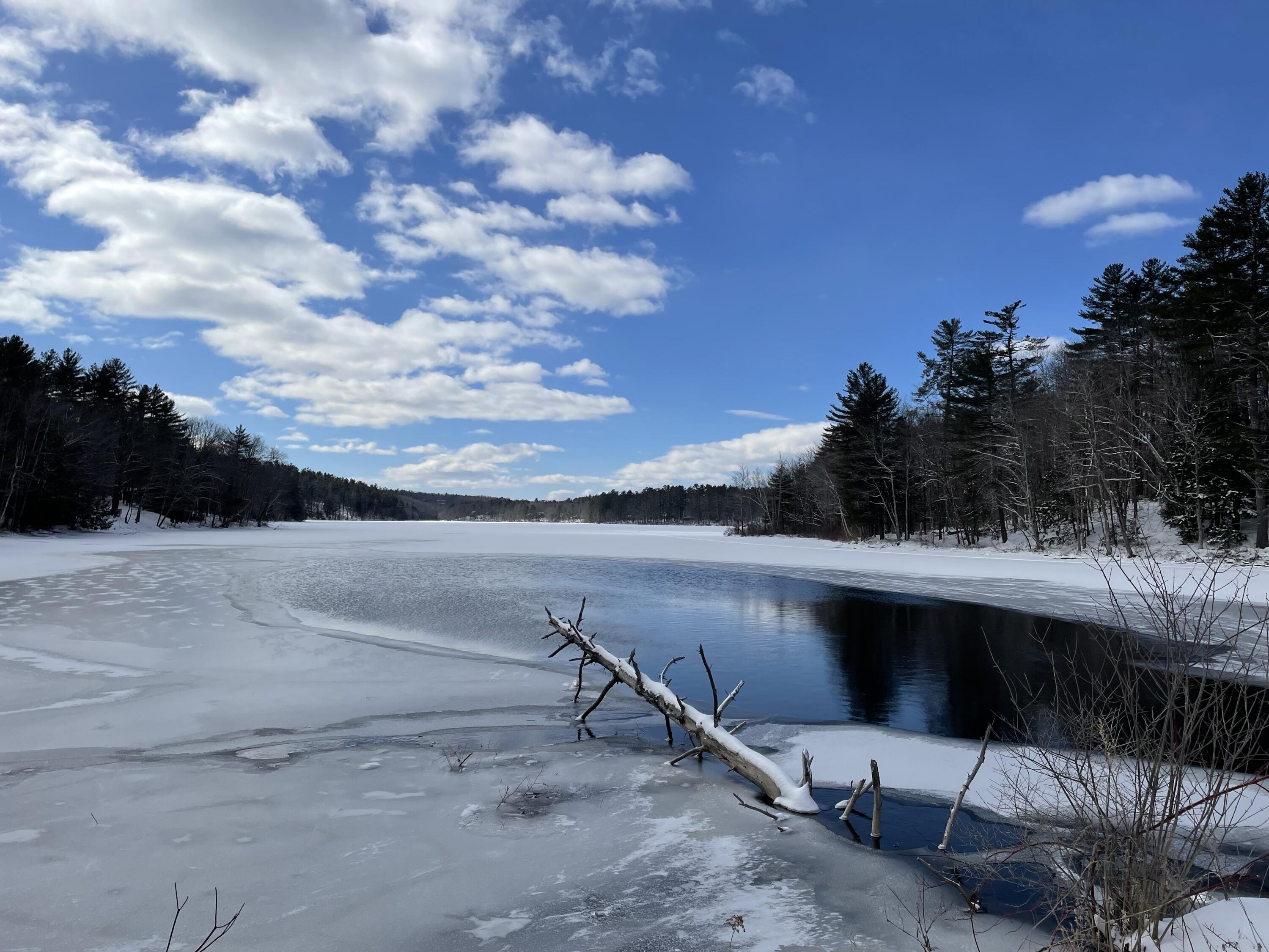75 Dexter Pond Road Winthrop, ME 04364 - Photo 16 of 19 IMG_3905