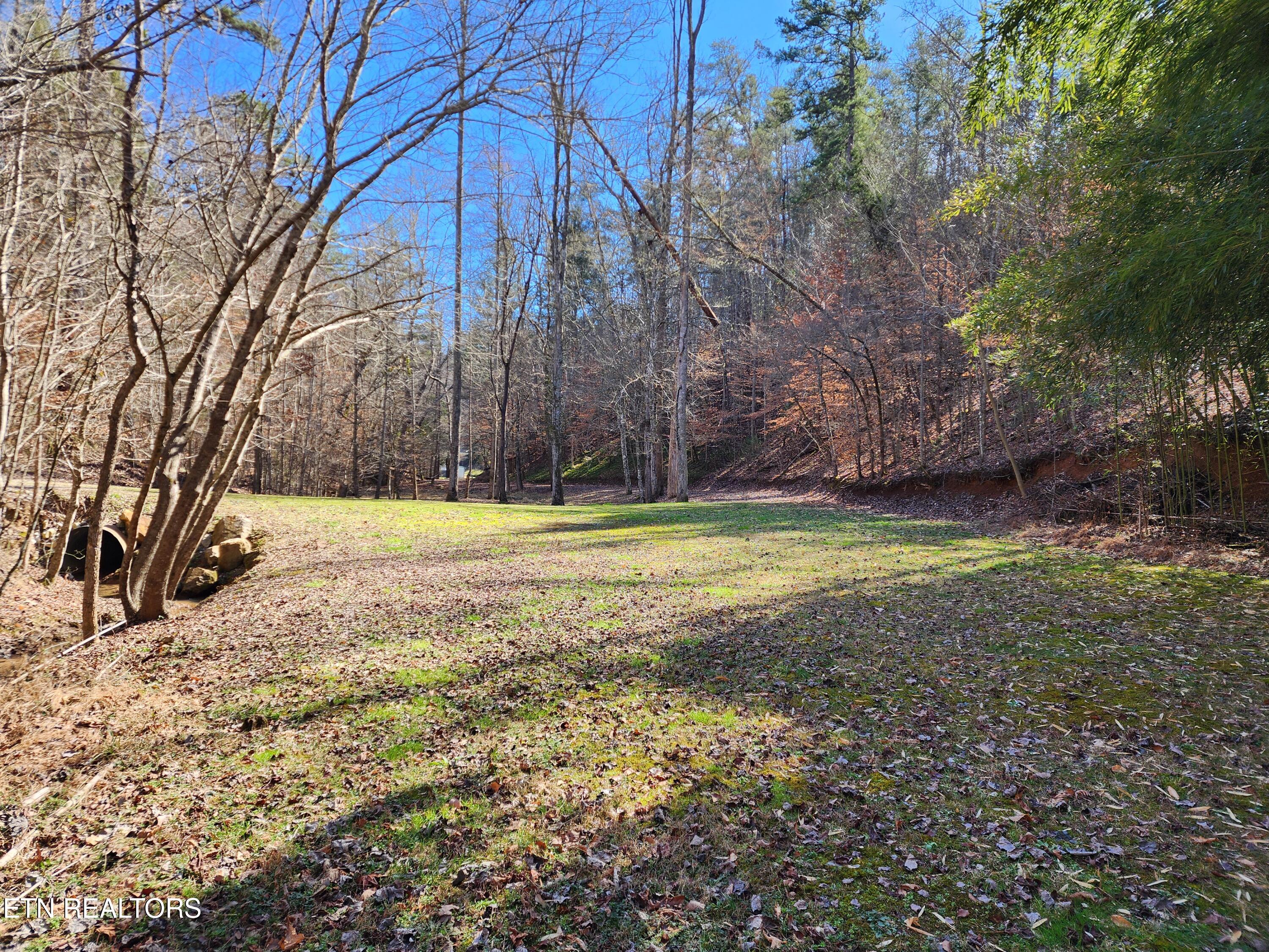 527 Smokey Branch Road Vonore, TN 37885 - Photo 3 of 46 Creek runs under driveway