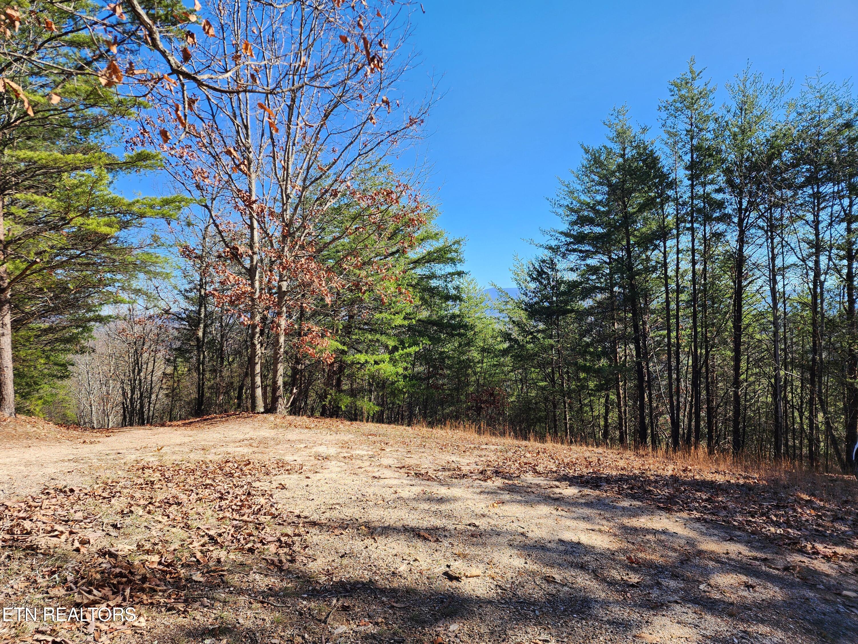 527 Smokey Branch Road Vonore, TN 37885 - Photo 34 of 46 Nice plateau area at the top