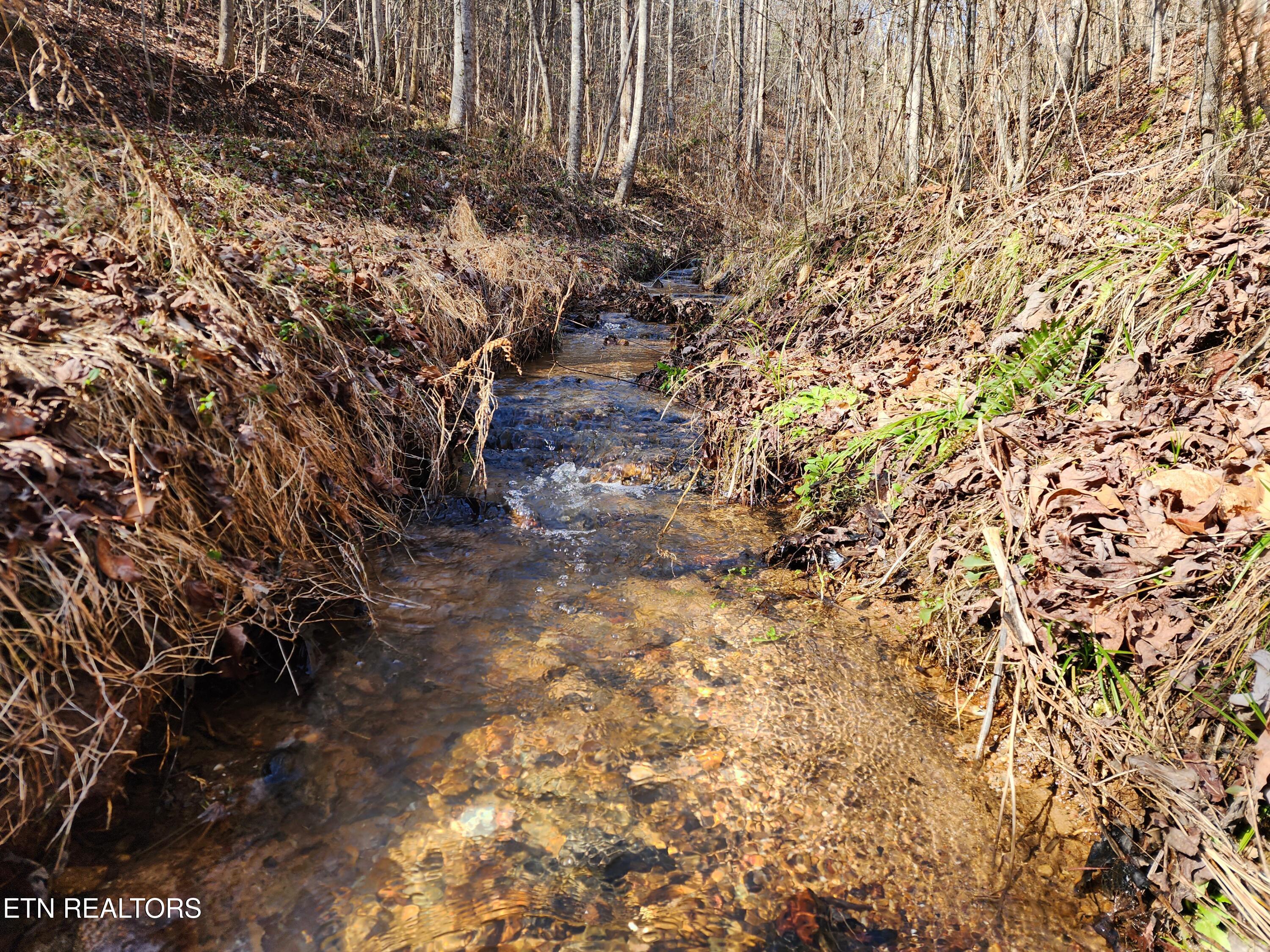 527 Smokey Branch Road Vonore, TN 37885 - Photo 42 of 46 Clear water stream (2)