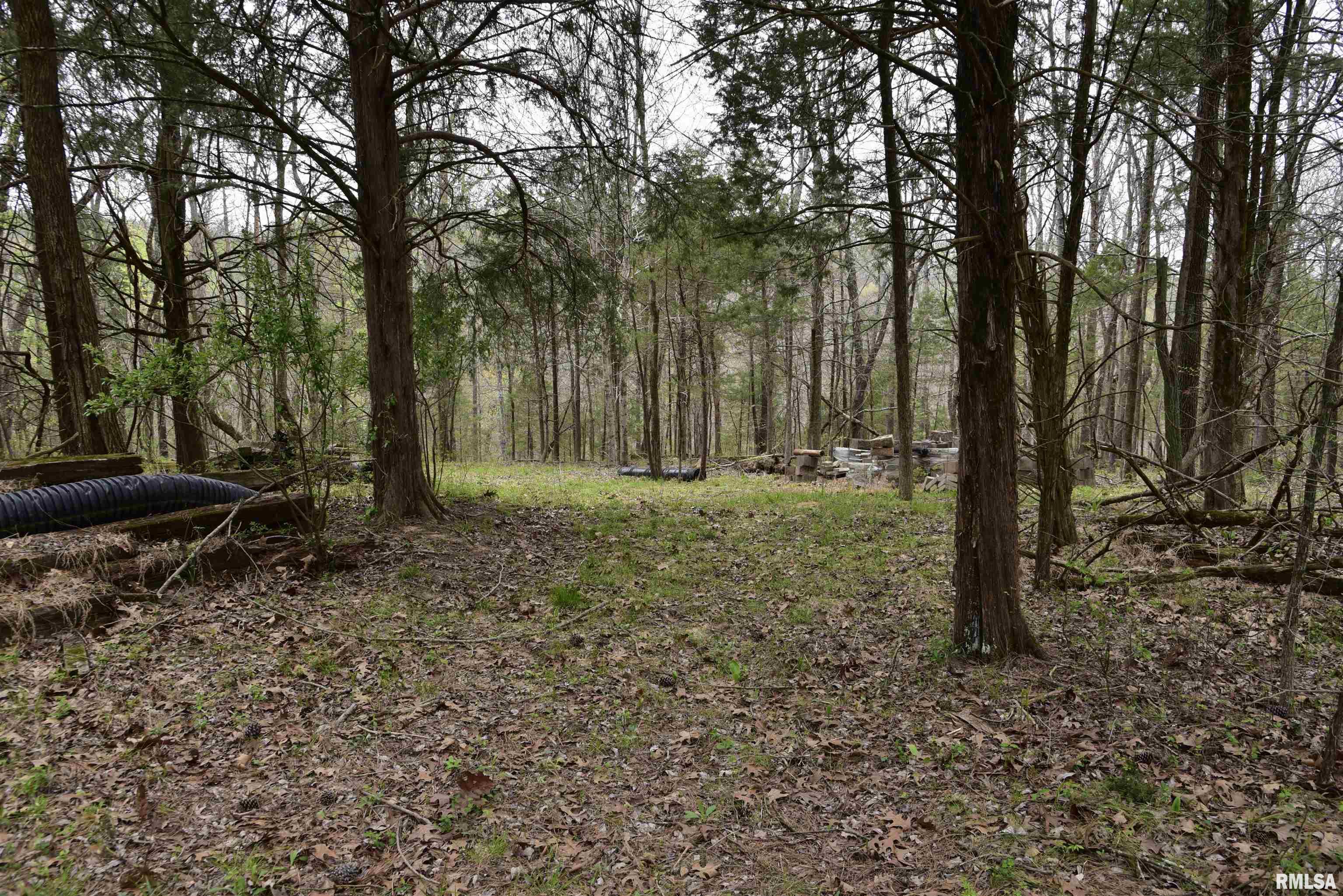 0 Parrish Ridge Lane Goreville, IL 62939 - Photo 20 of 26