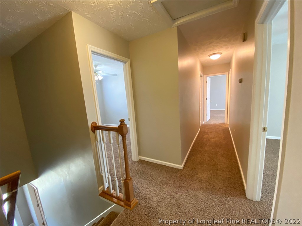 223 Target Lane Hubert, NC 28539 - Photo 24 of 49